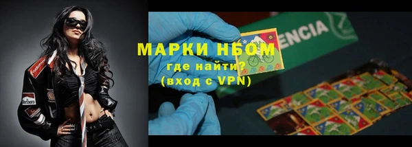 spice Аркадак