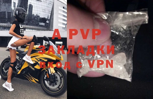 spice Аркадак
