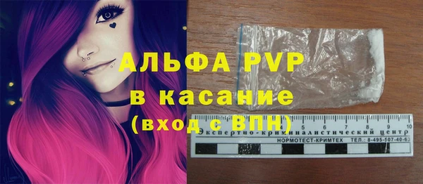 spice Аркадак