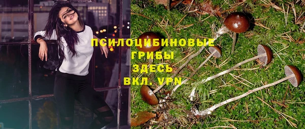спайс Нея